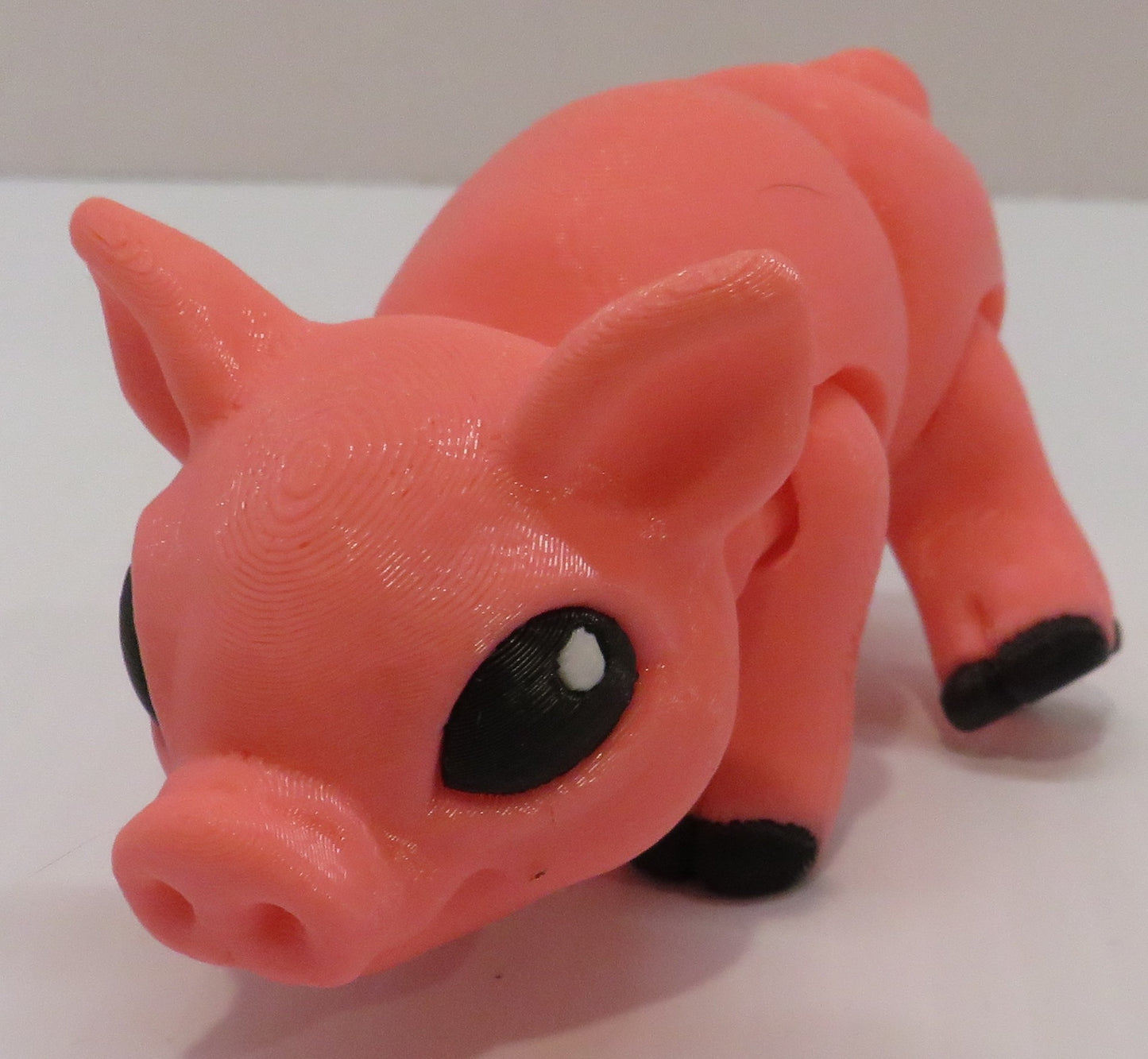 Pig