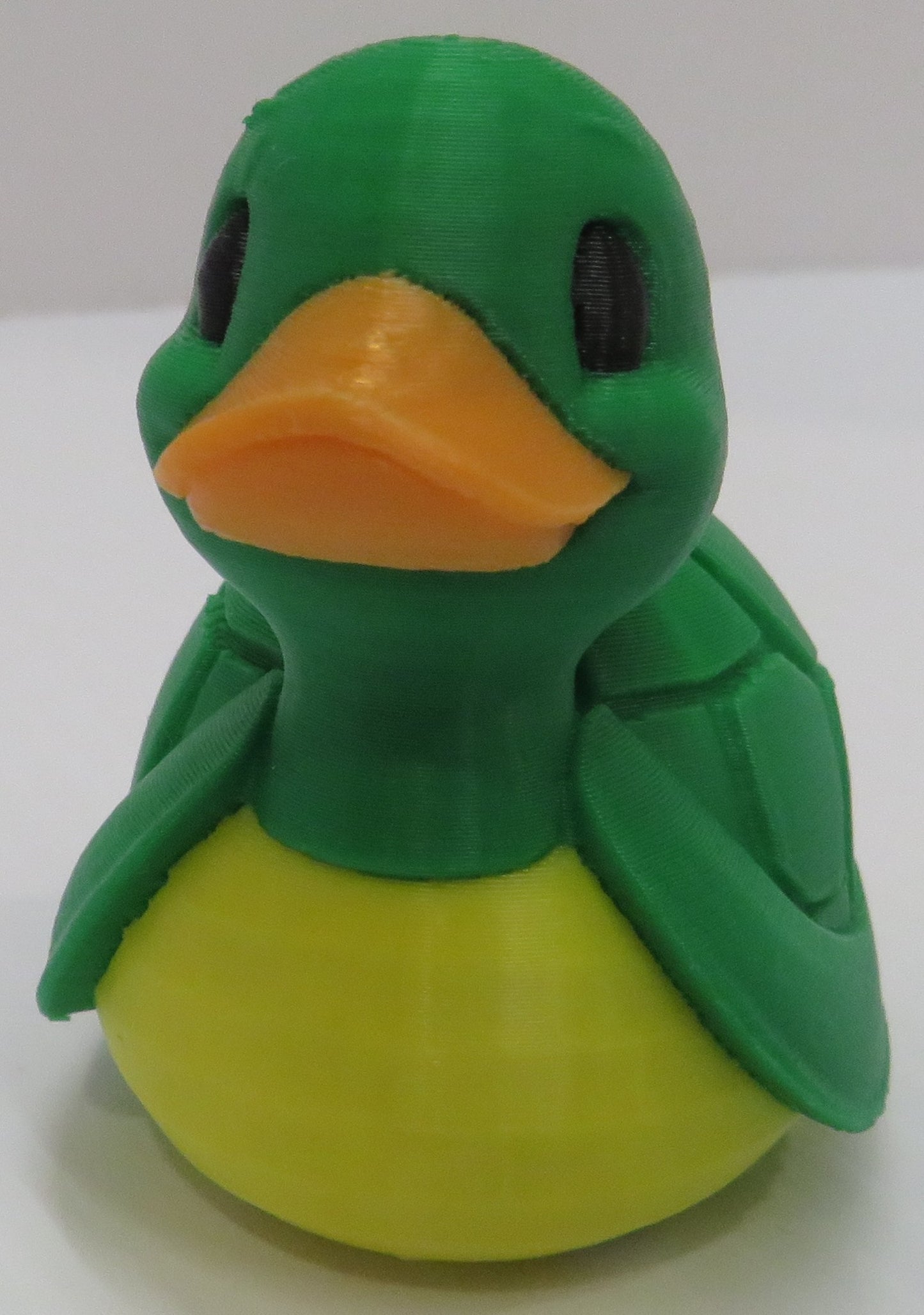Turtle Duck
