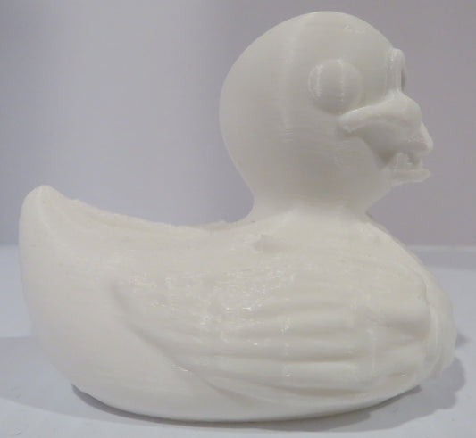 Skeleton Duck