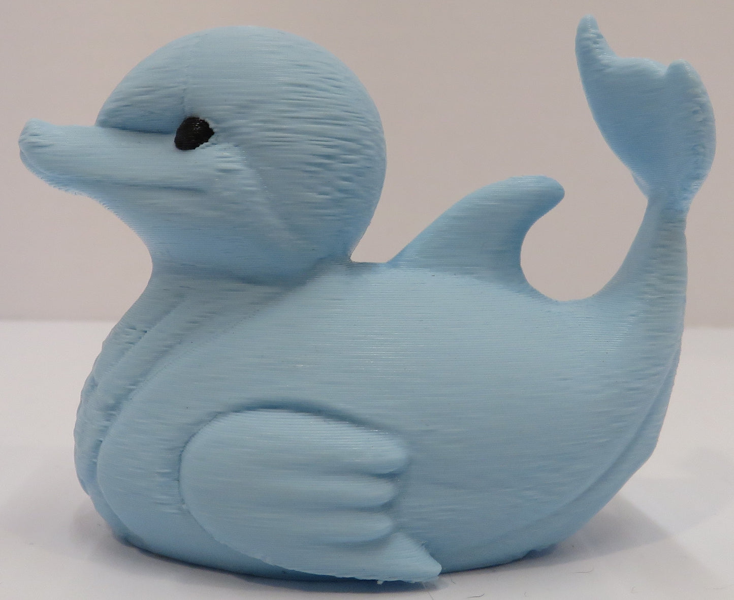 Dolphin Duck