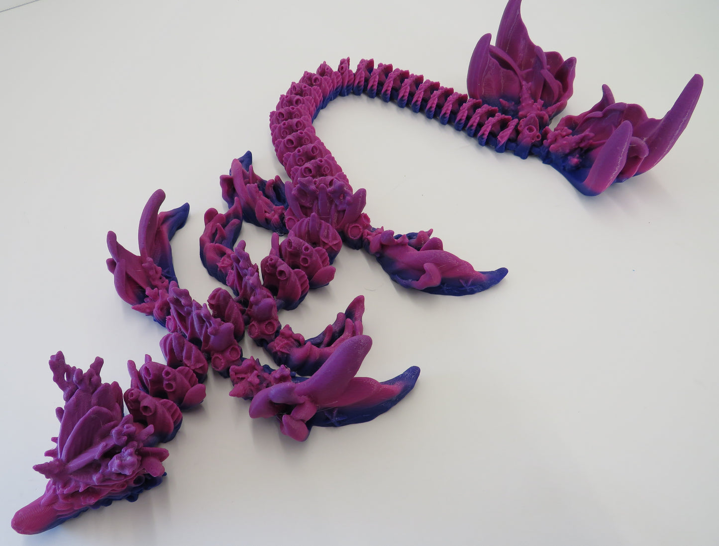 Long Reef Dragon (Purple Ombre)