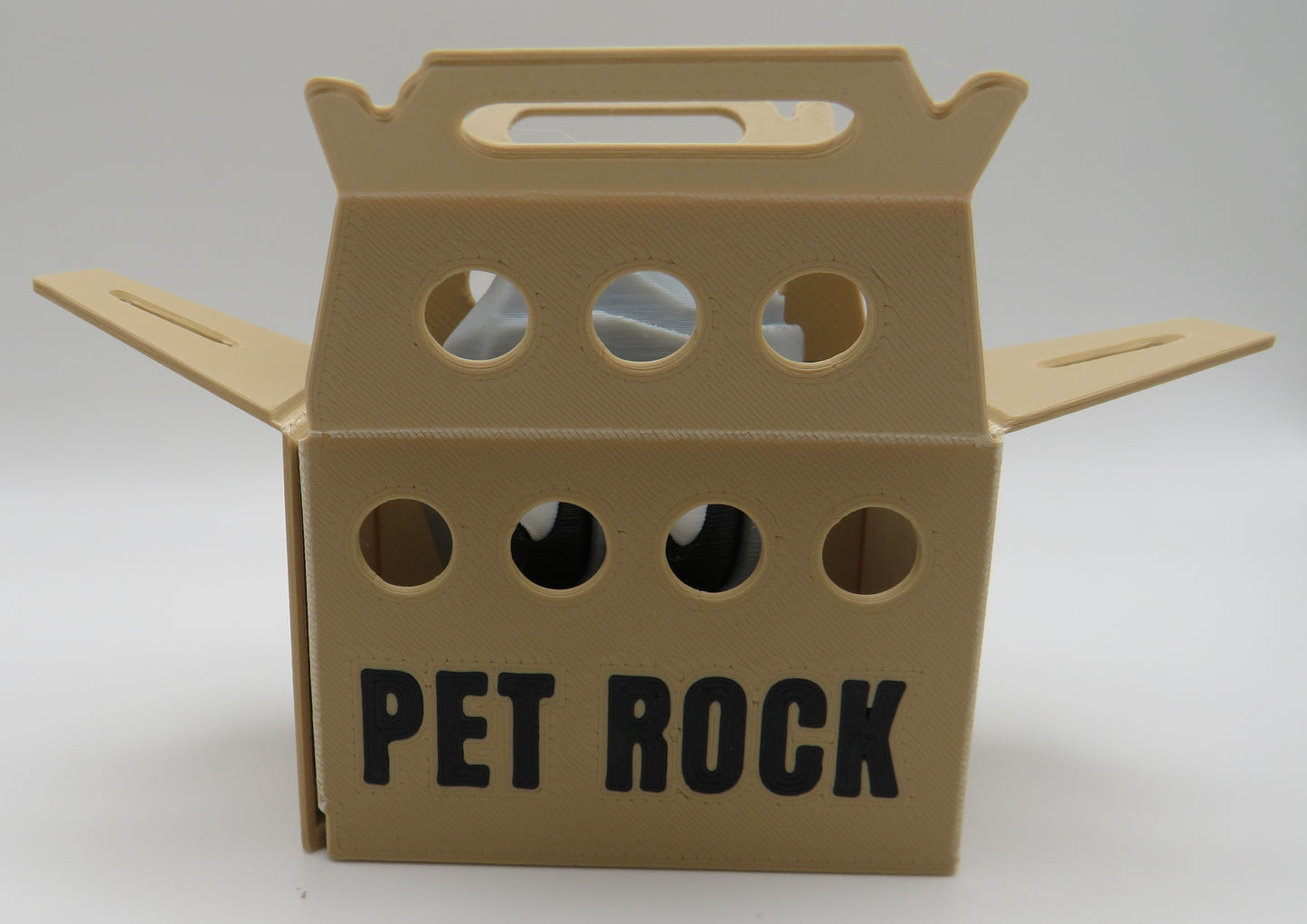 Pet Rock- Standing