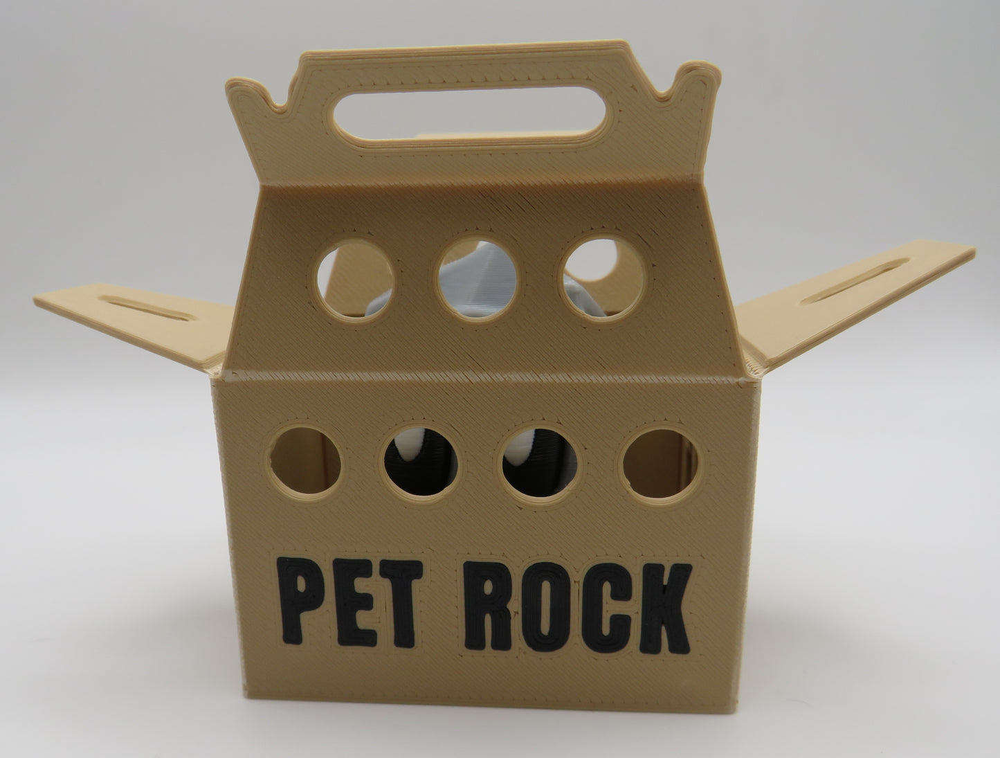 Pet Rock- Sitting