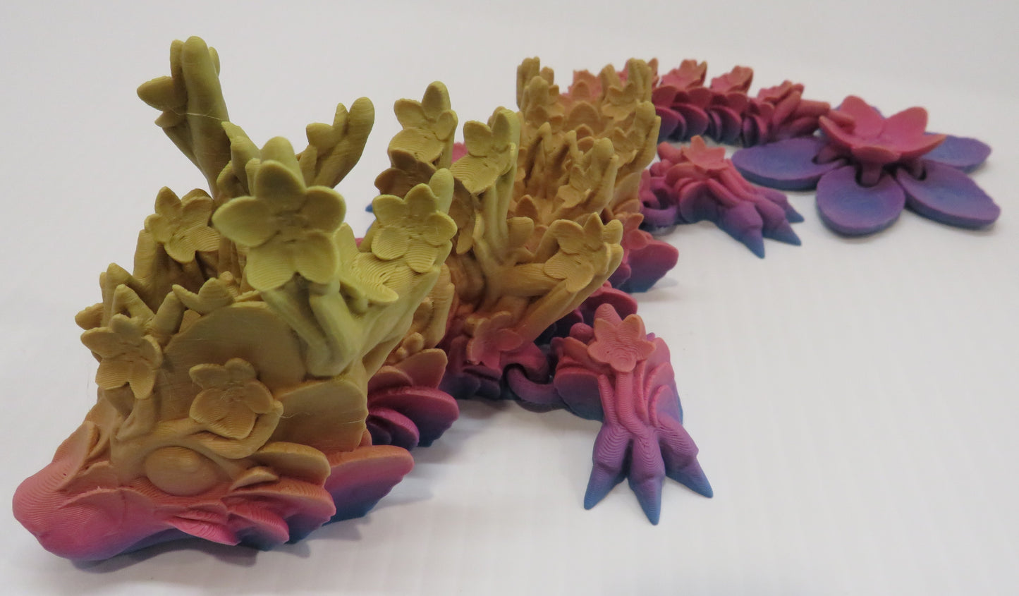 Baby Cherry Blossom Dragon