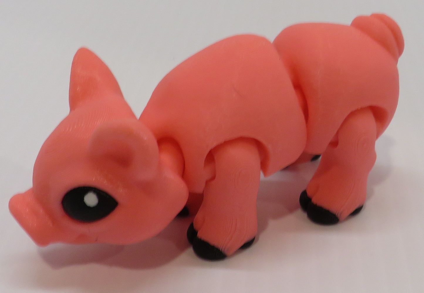 Pig