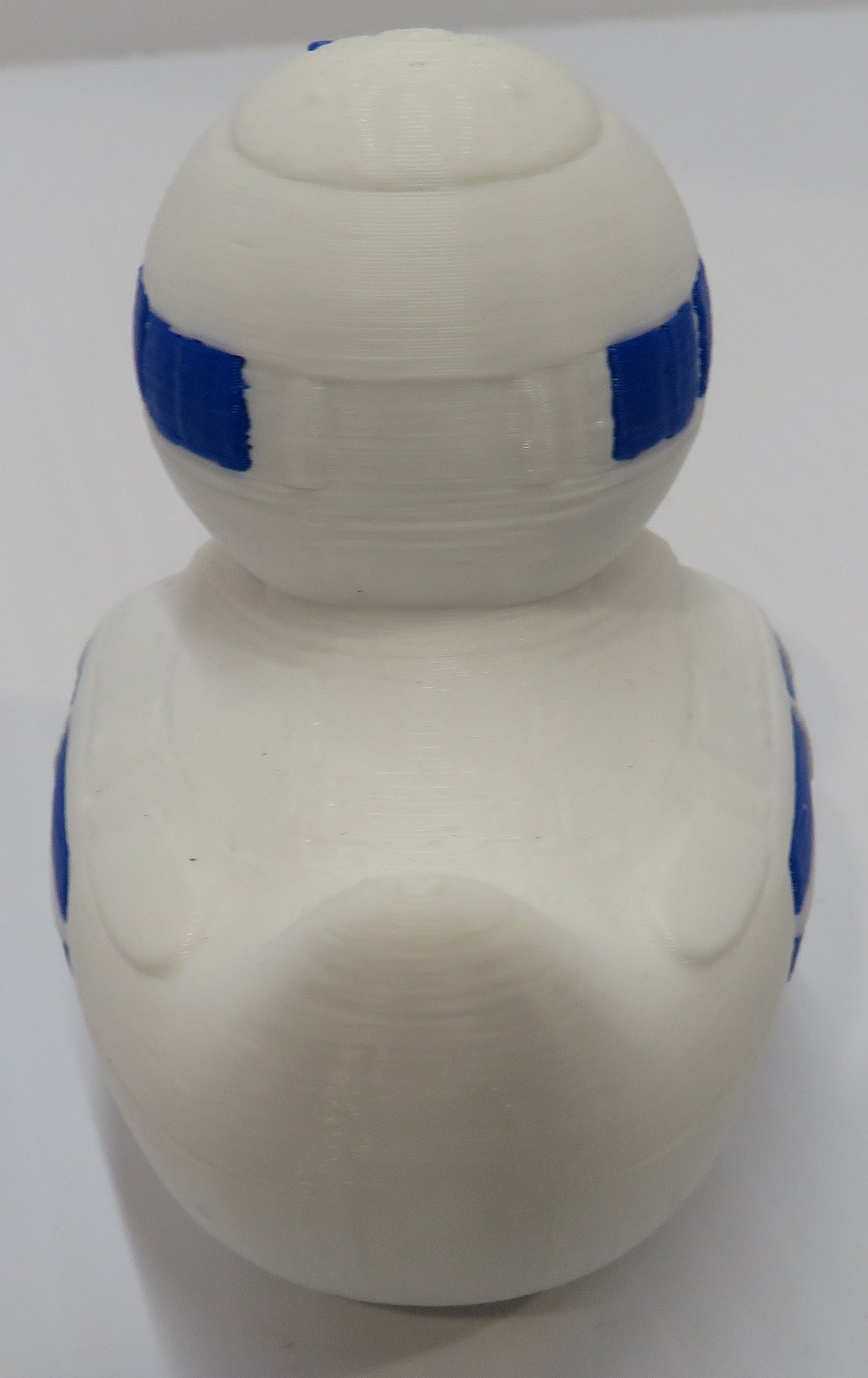 Blue White Robot Duck