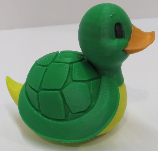 Turtle Duck