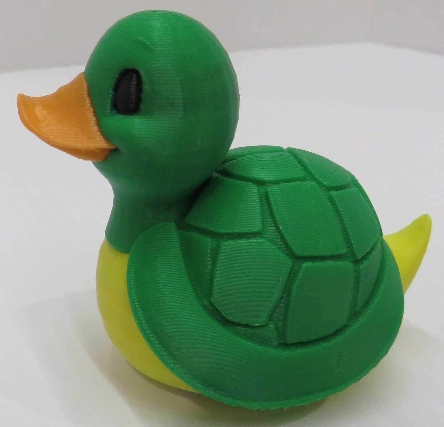 Turtle Duck