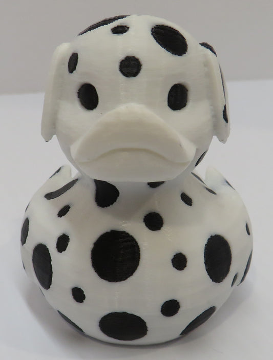 Dalmatian Duck