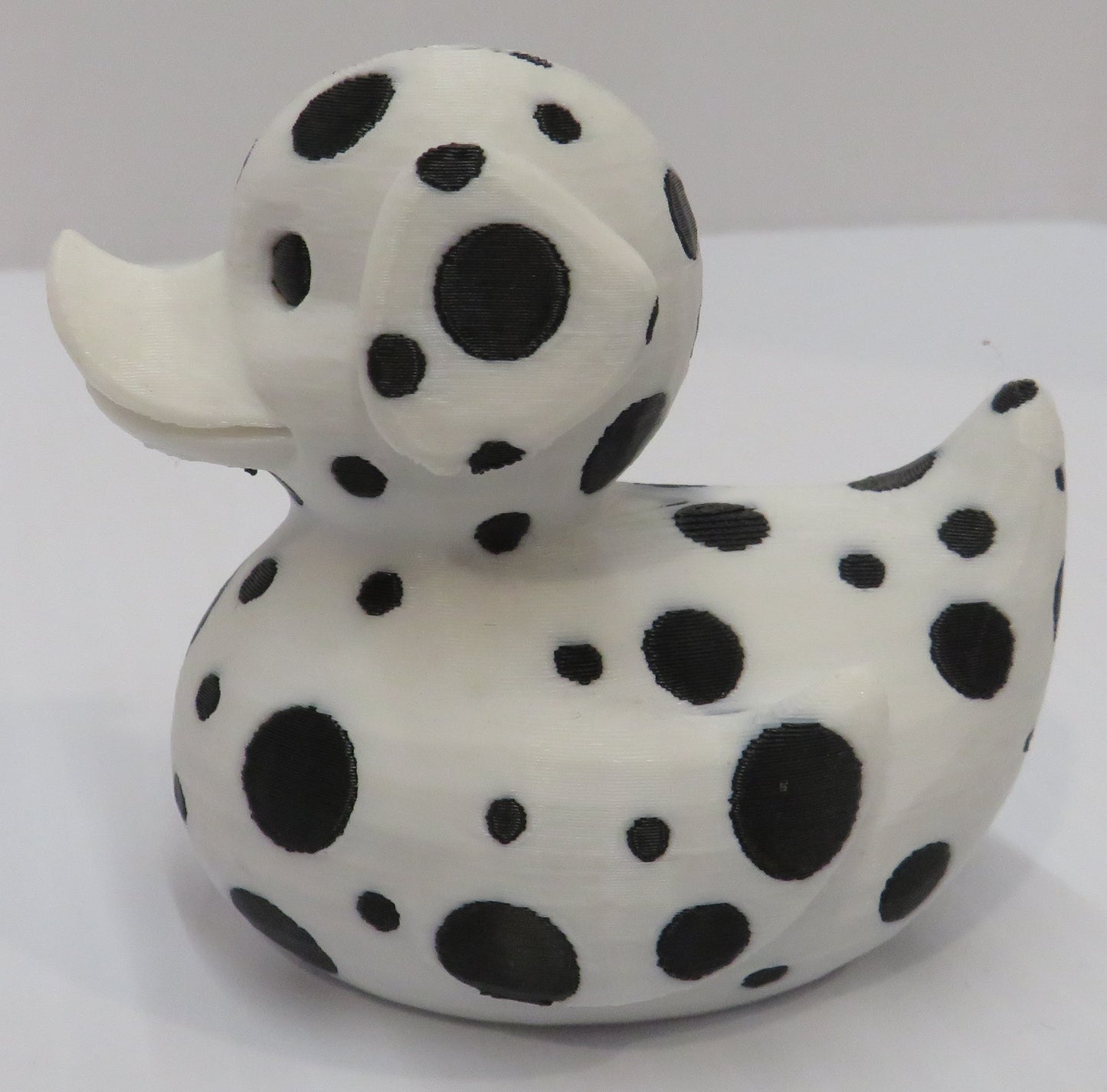 Dalmatian Duck