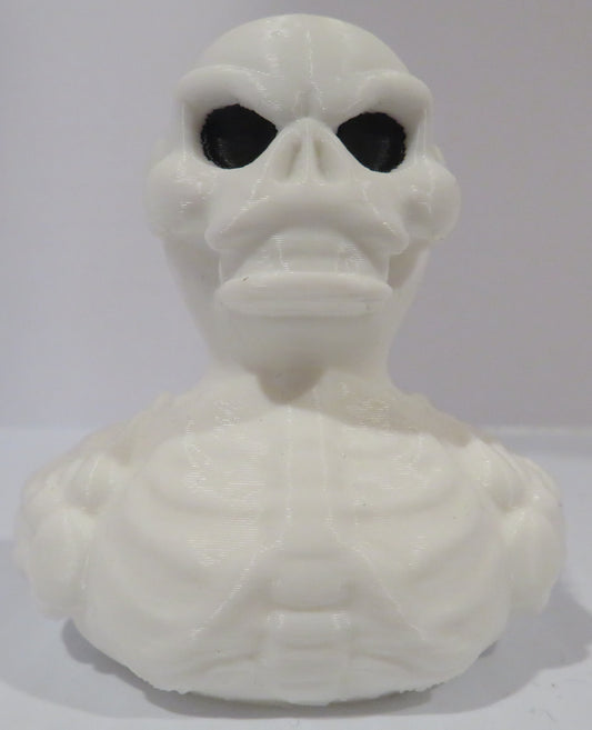 Skeleton Duck