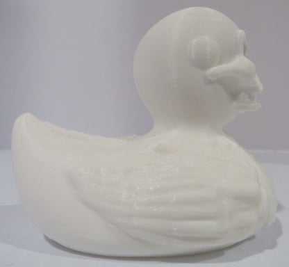 Skeleton Duck