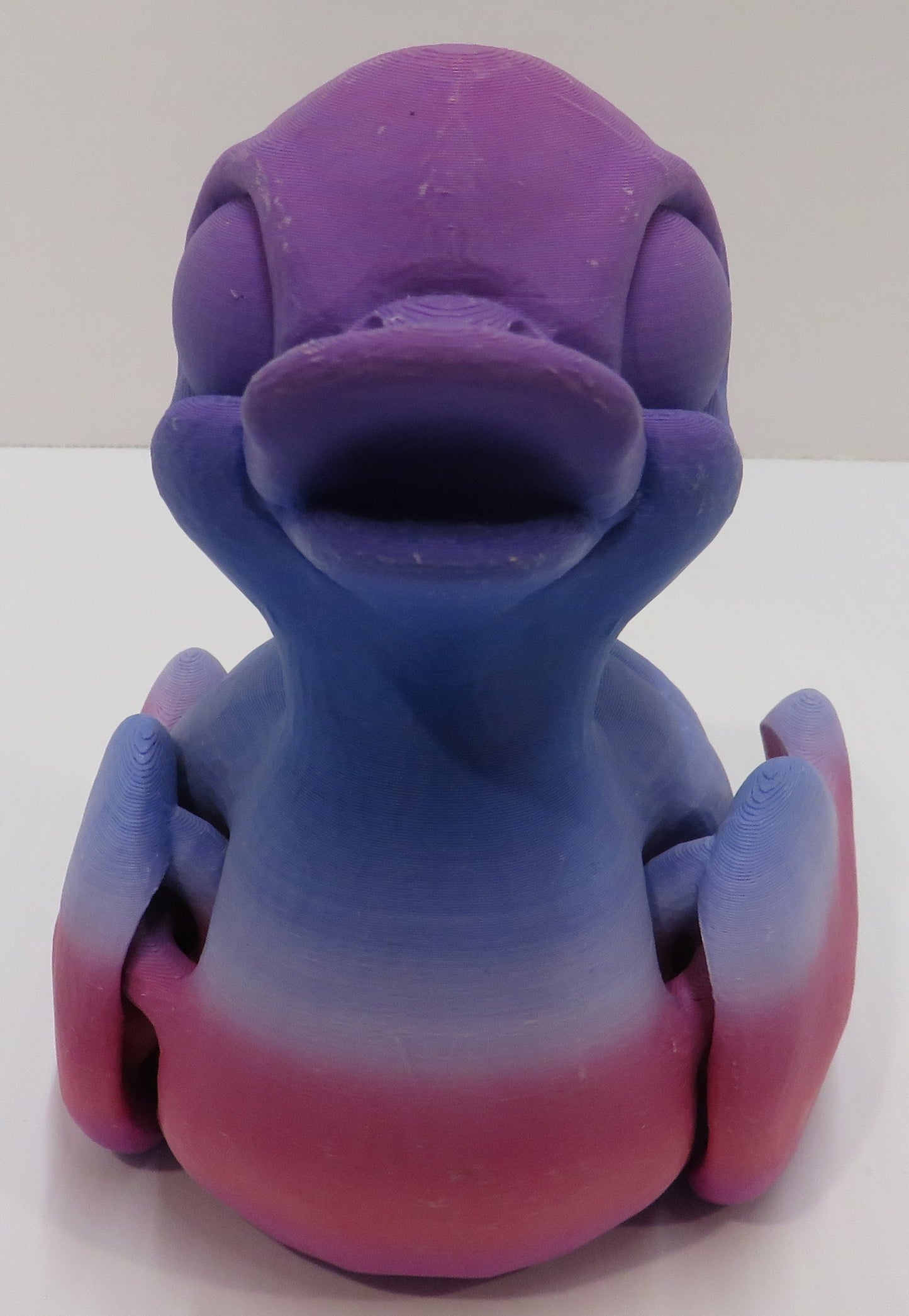 XL Pink Ombre Duck