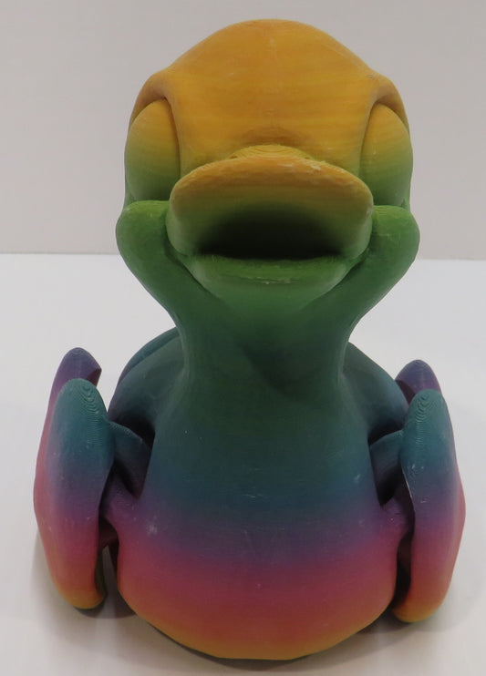XL Rainbow Duck