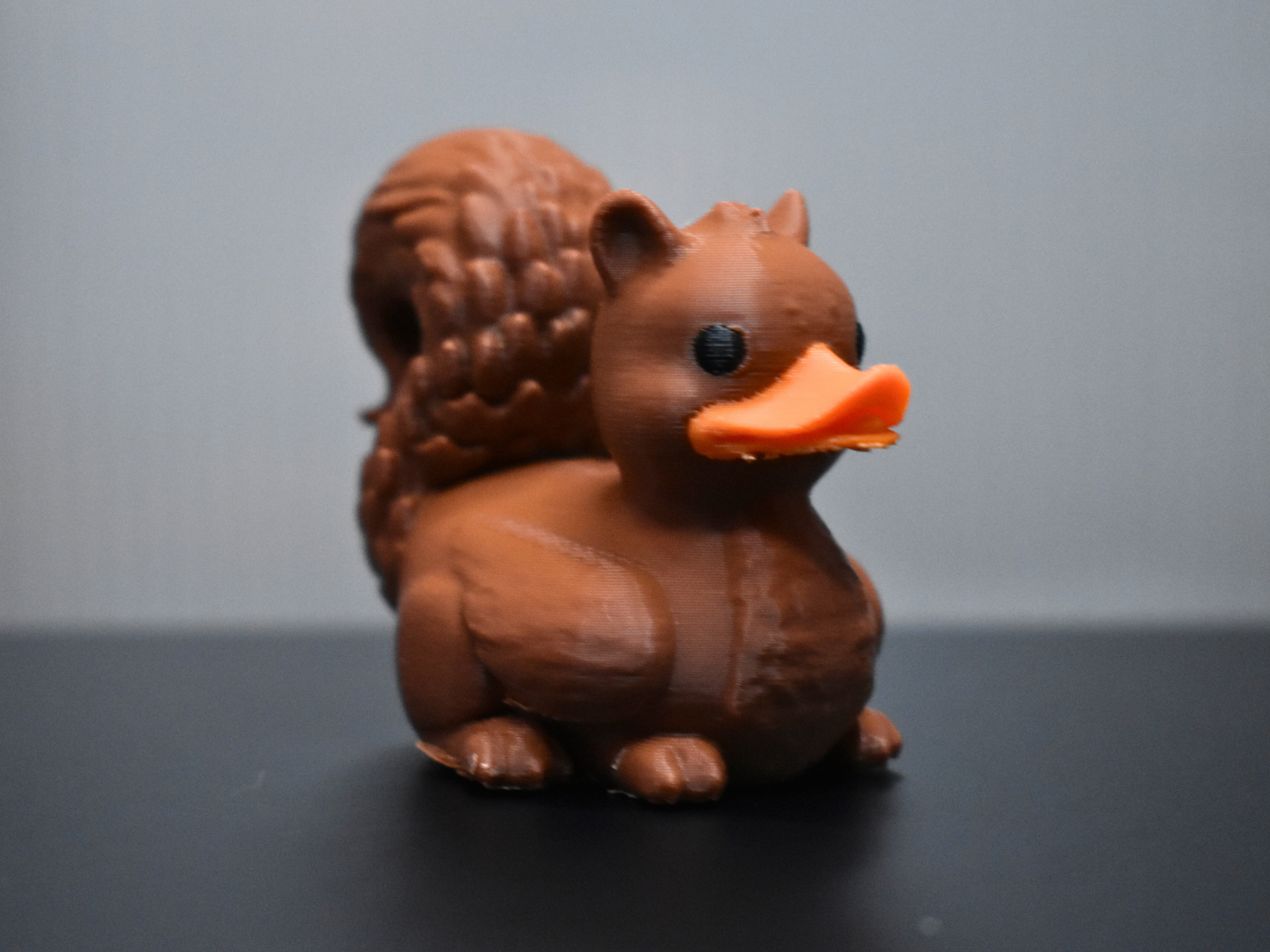 Squirrel Duck