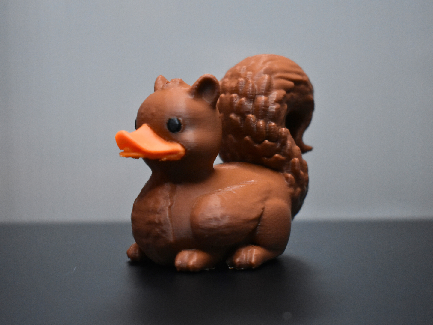 Squirrel Duck